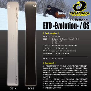 EVO/GS画像