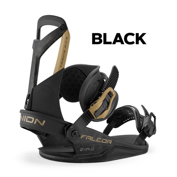 FALCORのカラー画像01